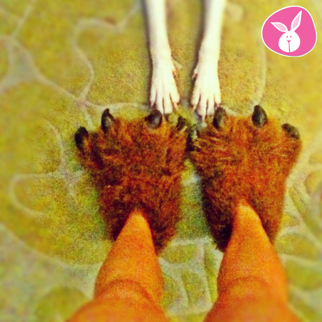grizzlies-dog-paws man in grizzly bear slippers with dog paws