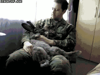 bunny-soldier.gif