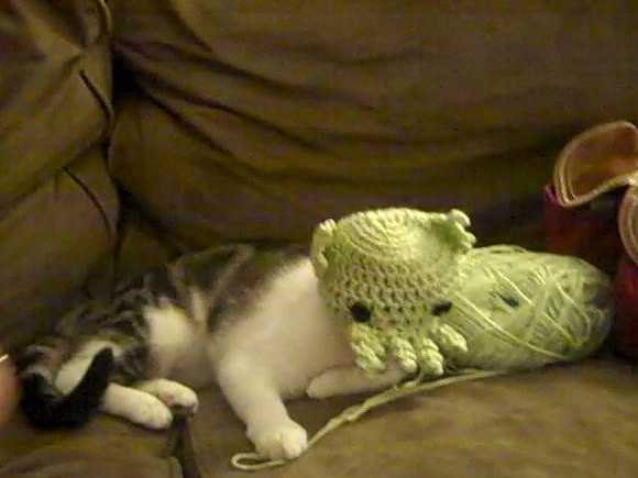 cthulhu_cat