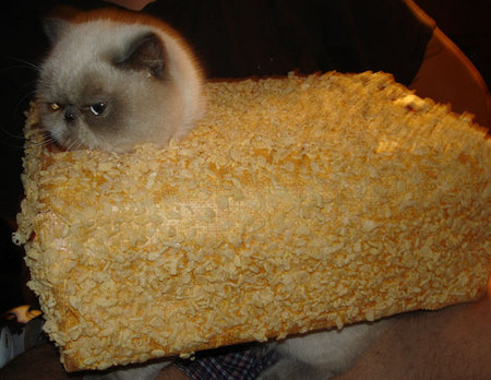 win_ricekrispietreat