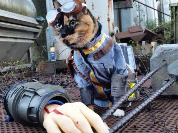 falloutcat