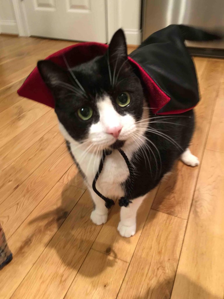 vampirekitty