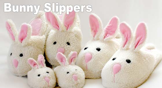 whiskers out which for sort slippers family was slippers and slippers slippers the  pair