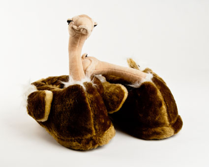 bird slippers ostrich slippers bird slippers animal slippers bird slippers ostrich slippers bird slippers animal slippers