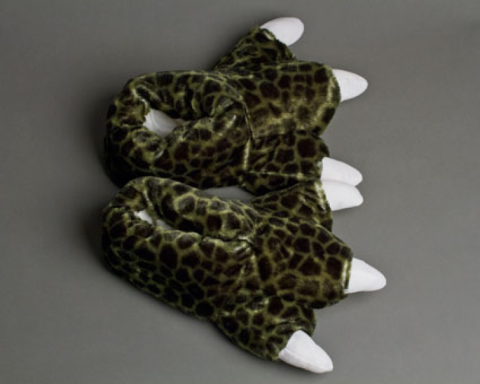 dinosaur feet pictures
