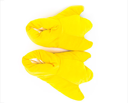 4 for Duck Slippers  slippers feet Feet