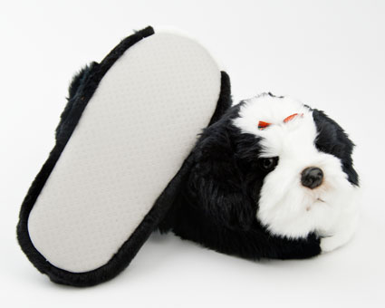 shih tzu slippers shih tzu slippers shih tzu slippers for shih tzu slippers shih tzu slippers shih tzu slippers for