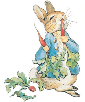 24 Carrot Millionhare