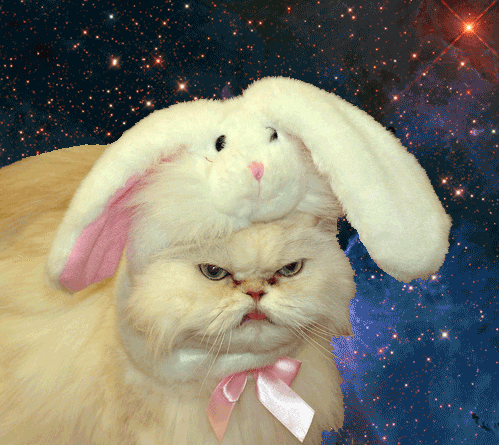 cat in front of space background with bunny hat on