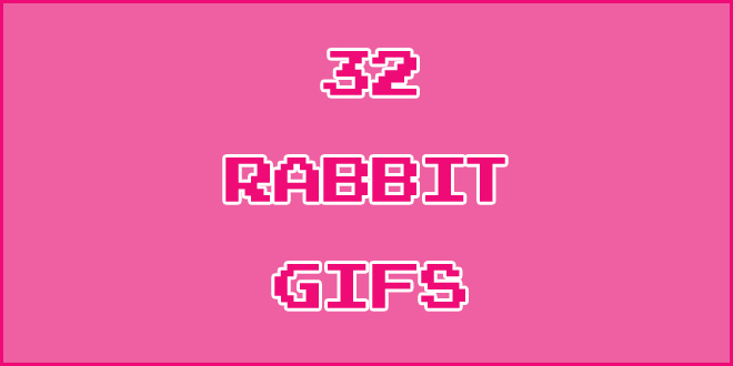 32-rabbit-gifs-header