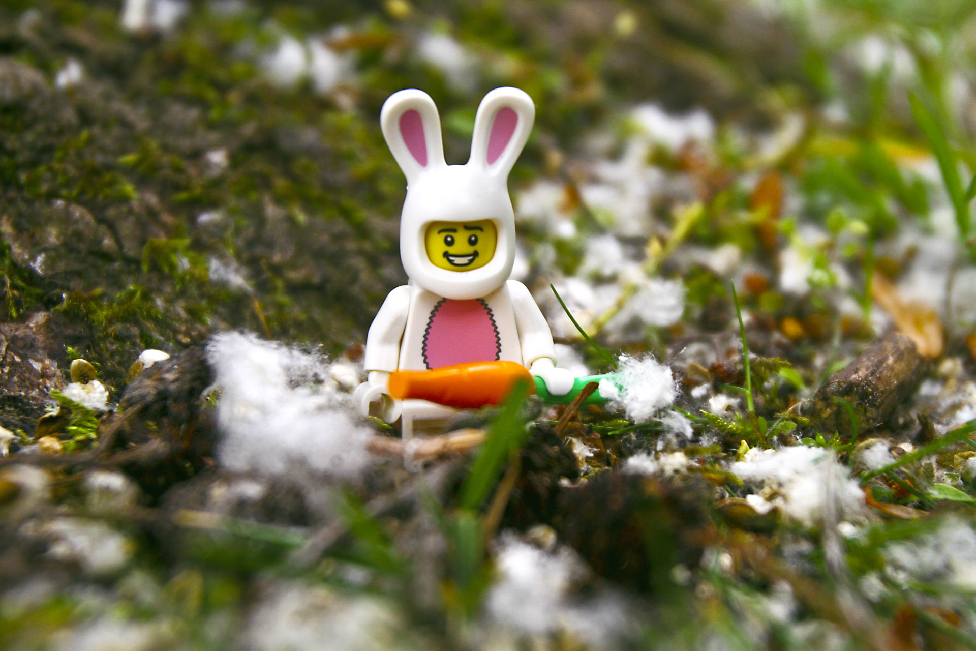 lego-bunny-carot