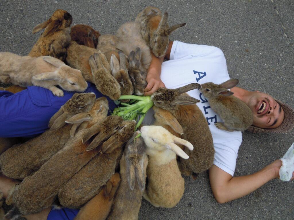 [Image: swarmed-by-cute-bunnies.jpeg]