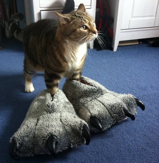 Cat Monster Slippers