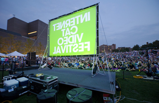 internet-cat-video-film-festival-crowd-shot