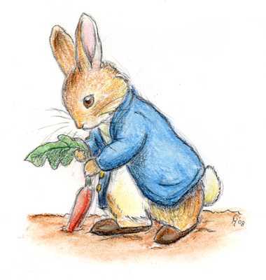 peter rabbit