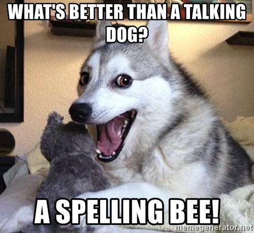 Pun Dog Spelling Bee
