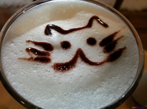 cat-uccino