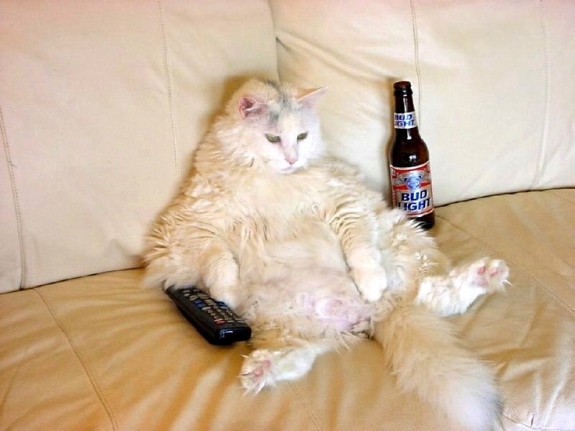 lazy-5