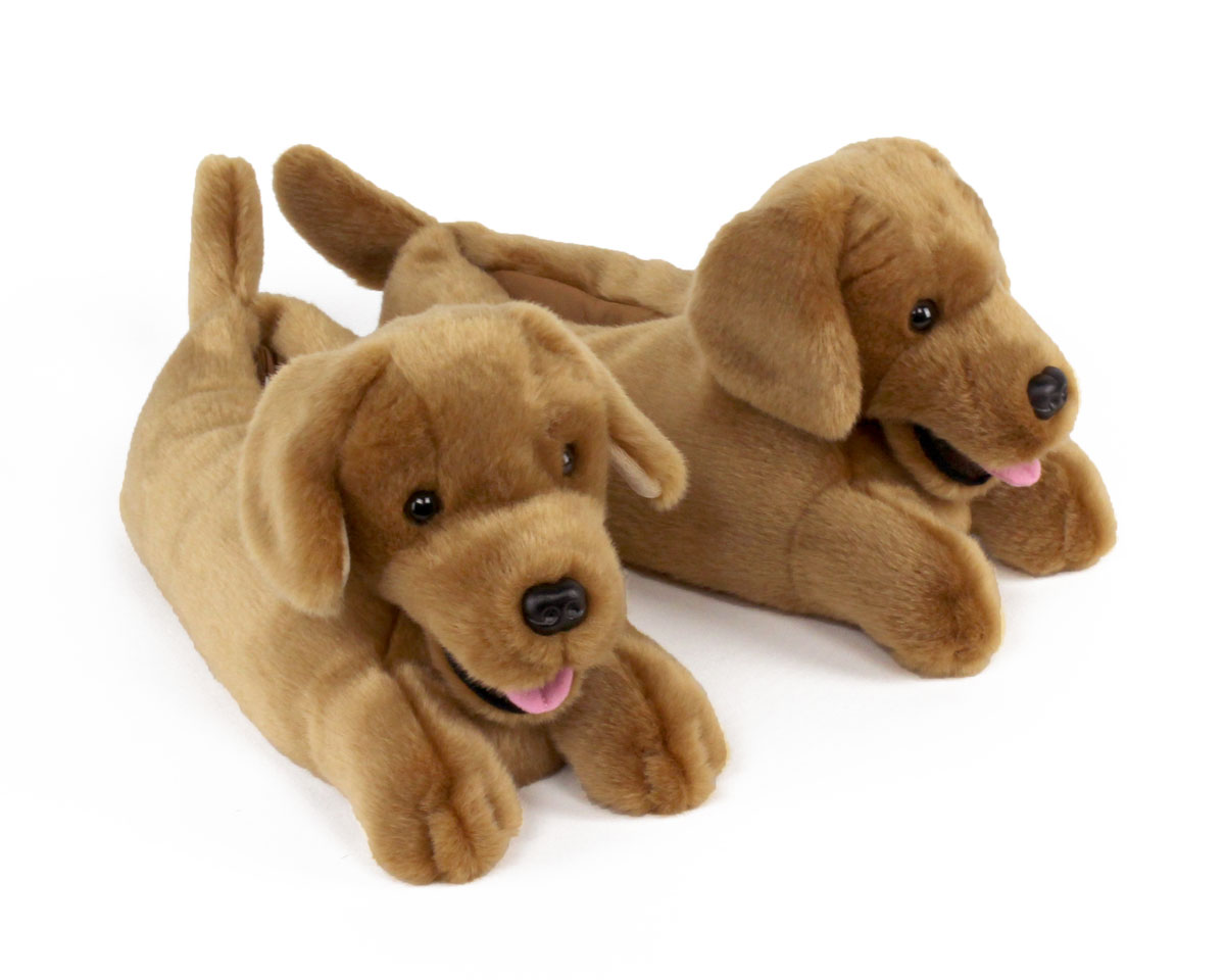 golden-retriever-1-lg