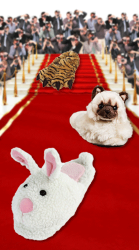 The First Annual Bunny Awards Hop to Pop