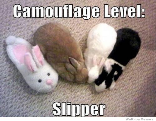 camouflage-level-slipper.jpg