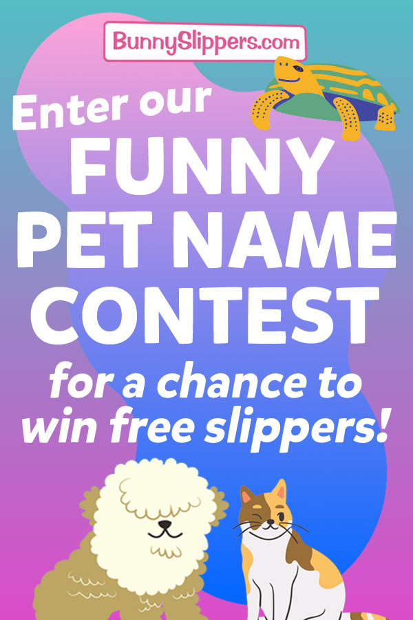 Does Your Pet Have a Funny Name?  Enter our Contest!
