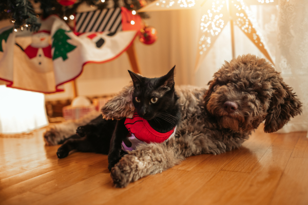A dog and a cat next to an elevated christmas tree
