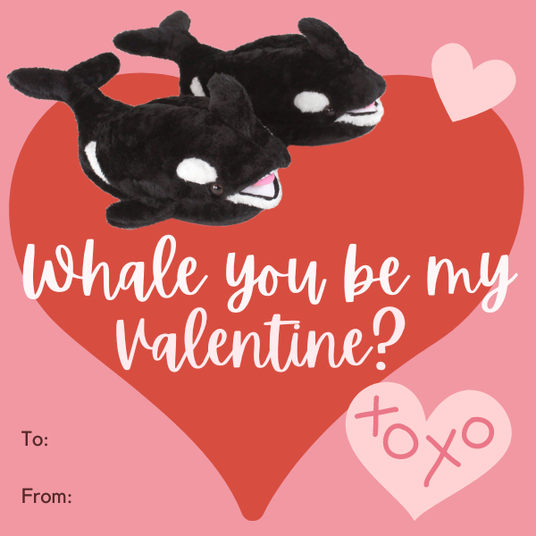 valentine with a pair of killer whale slippers on it.  text reads: whale you be my valentine?