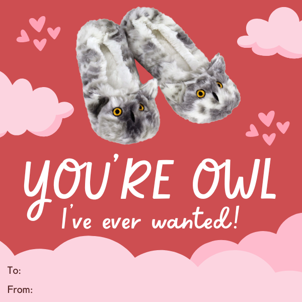 valentine with a pair of owl sock slippers on it.  text reads: you're owl I've ever wanted!