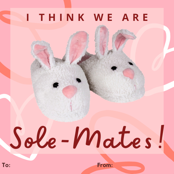 valentine with a pair of classic bunny slippers on it.  text reads: i think we are soul-mates!