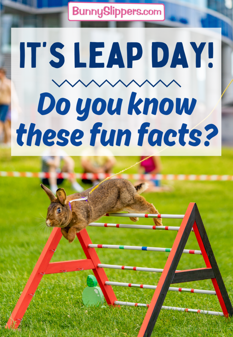 Leapin’ Bunnies… it’s Leap Day!  Do you know any of these fun facts?