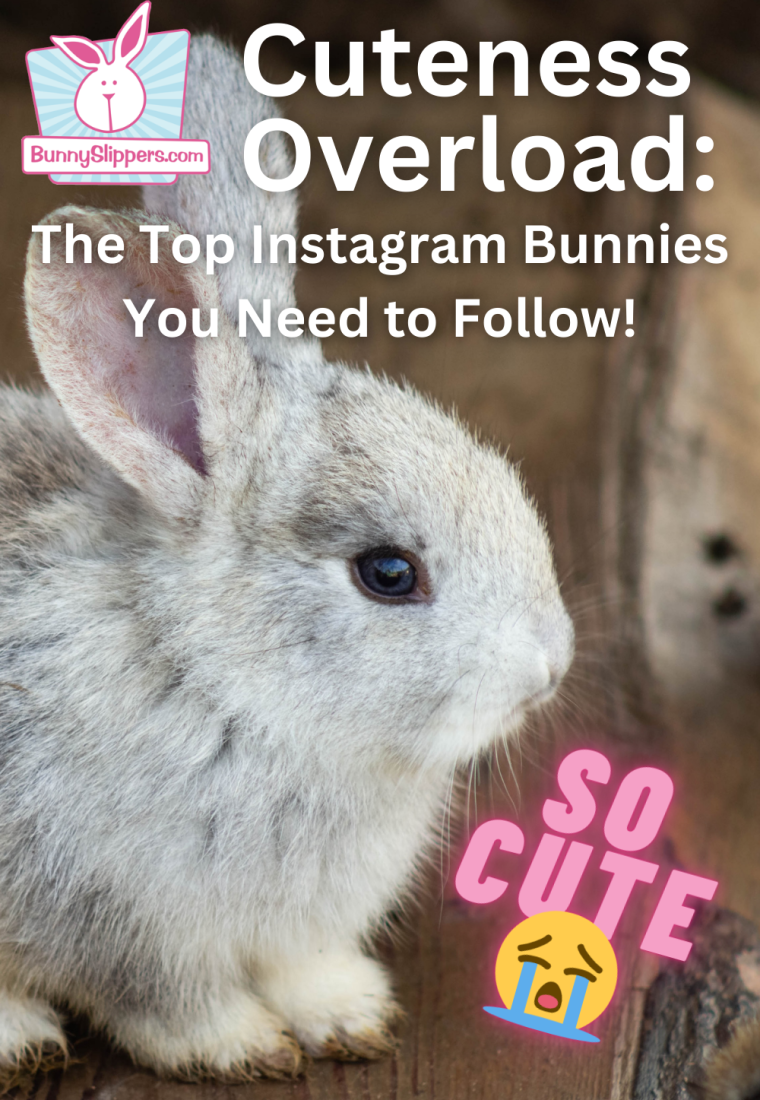 Cuteness Overload: The Top Instagram Bunnies You Need to Follow!