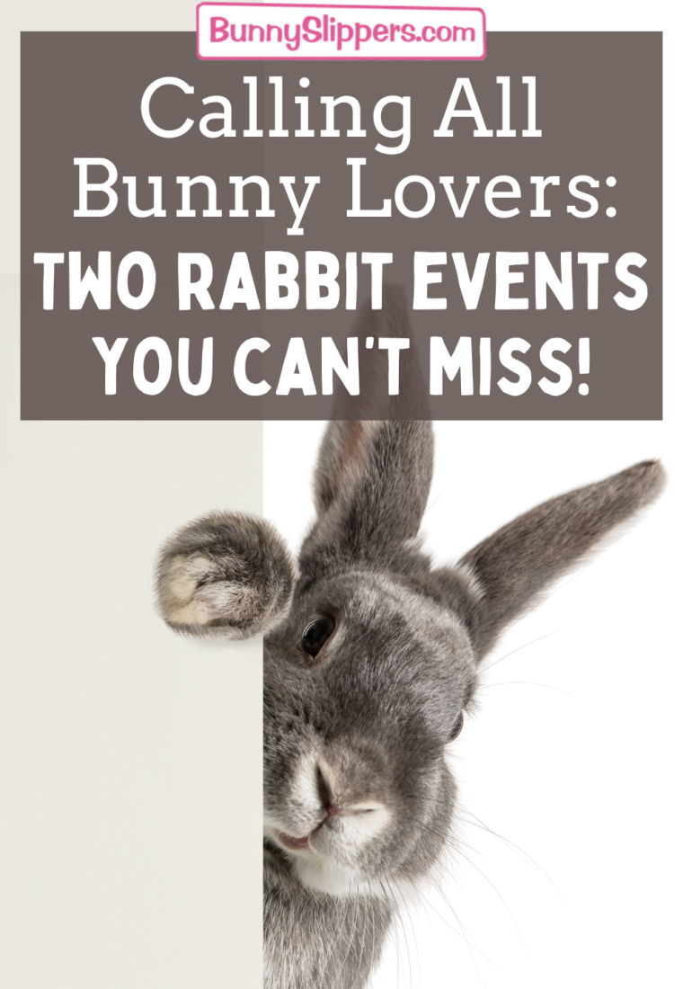 Calling All Bunny Lovers: Two Rabbit Events You Can’t Miss!
