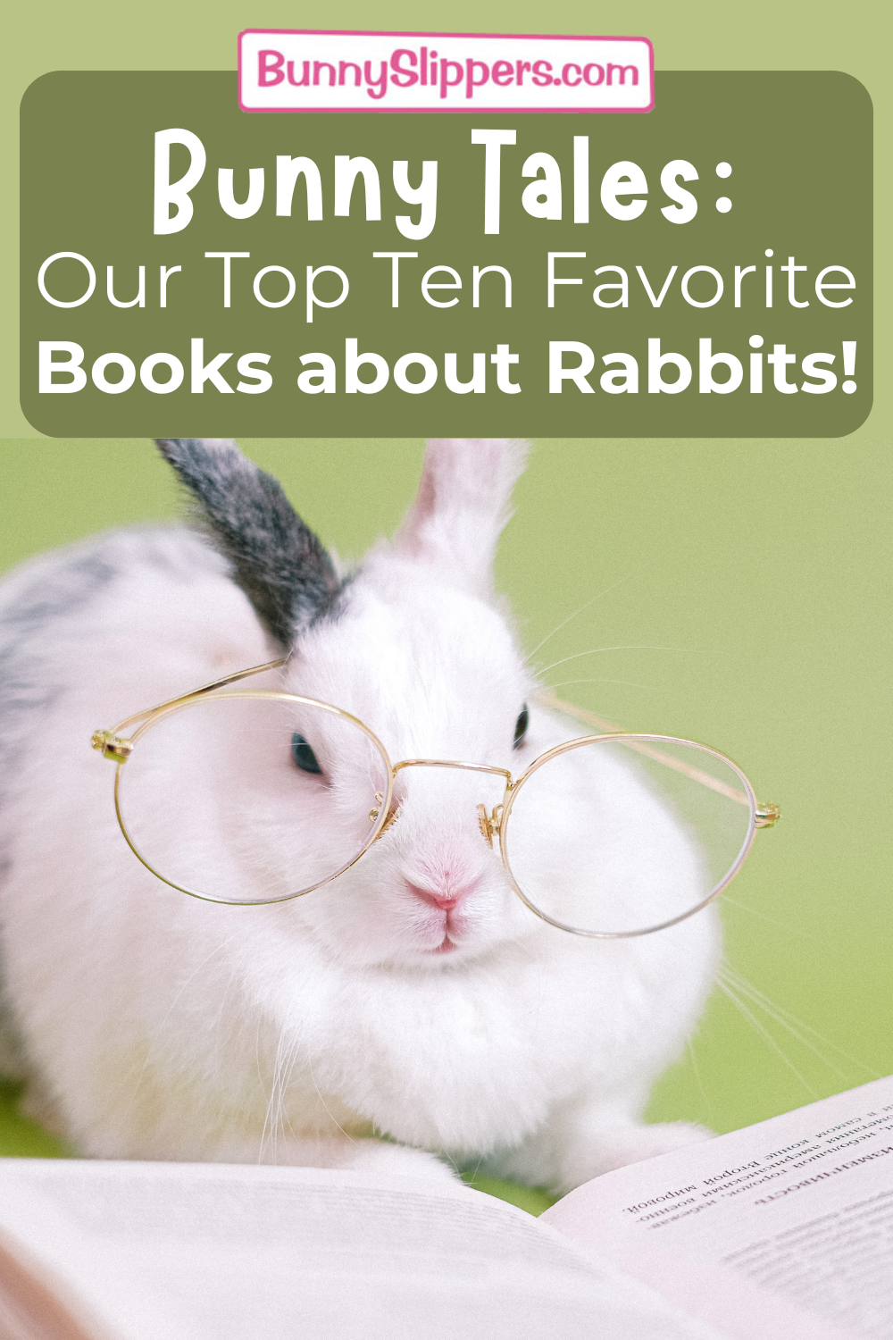 Bunny Tales: Our Top Ten Favorite Books about Rabbits!