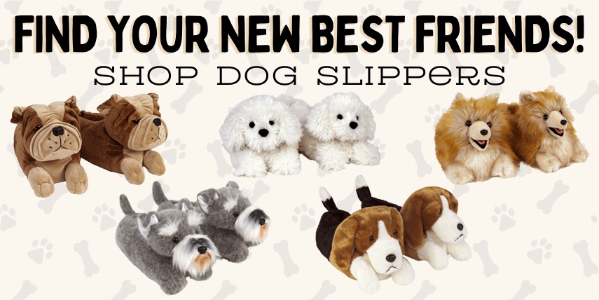 Dog slippers