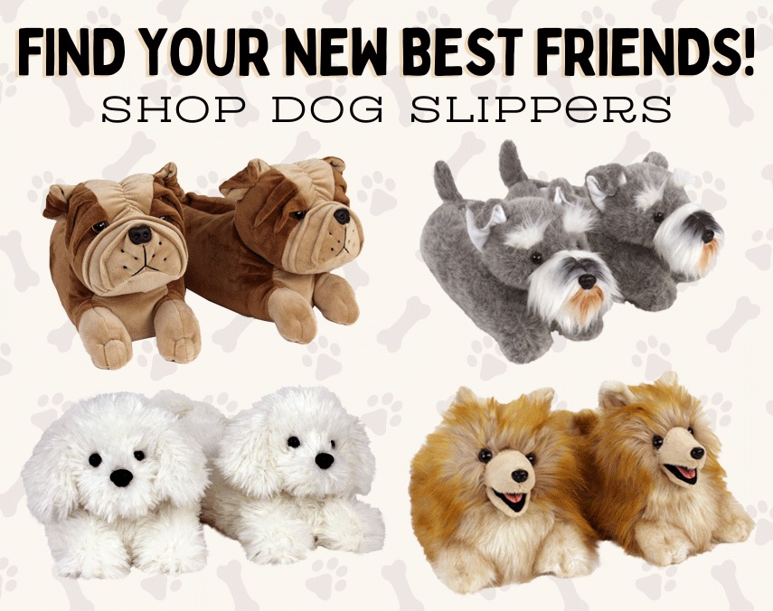 Dog slippers