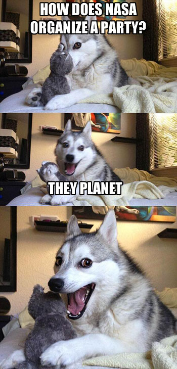 Pun Dog NASA Party
