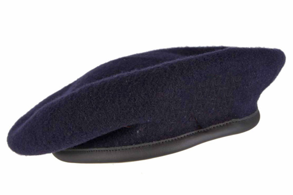 donald duck costume blue beret