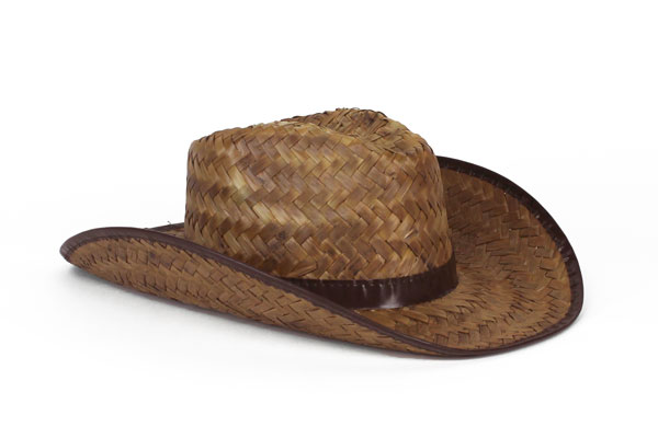 farmer costume cowboy hat