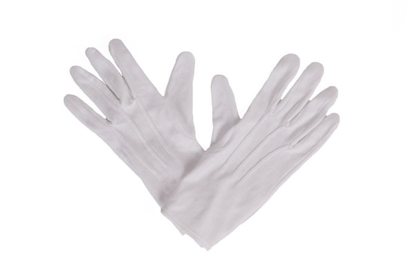 queen elizabeth costume gloves