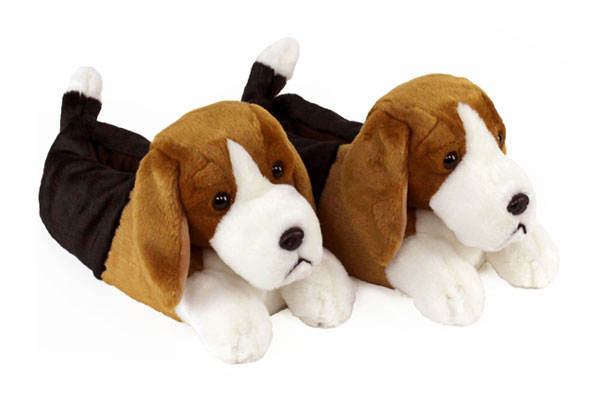 beagle slippers