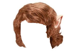 hobbit costume wig