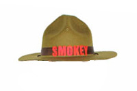 smokey the bear costume ranger hat
