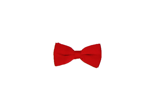 donald duck costume red bowtie