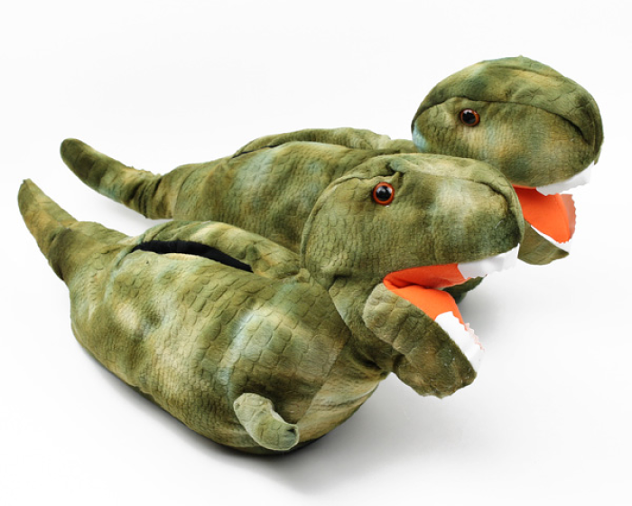 dinosaur slippers infant