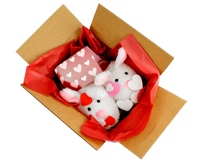 BunnyGram Valentines package