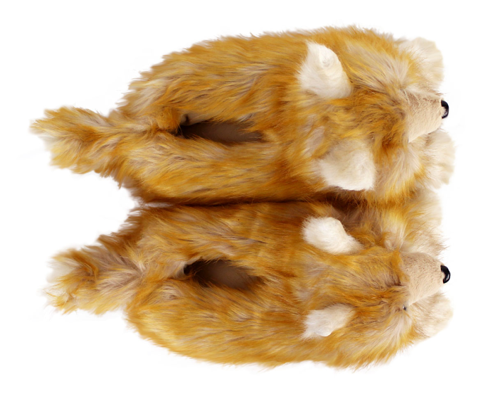 Pomeranian Slippers Top View