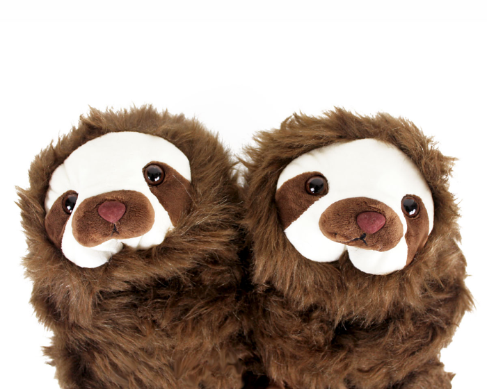 Sloth Slippers Close Up