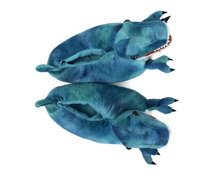 Kids T-Rex Dinosaur Slippers Top View