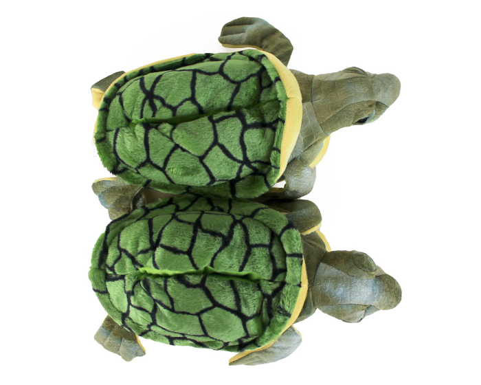 Turtle Slippers Top View